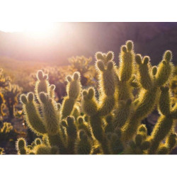 Rustic Wool Wallet fr-FR